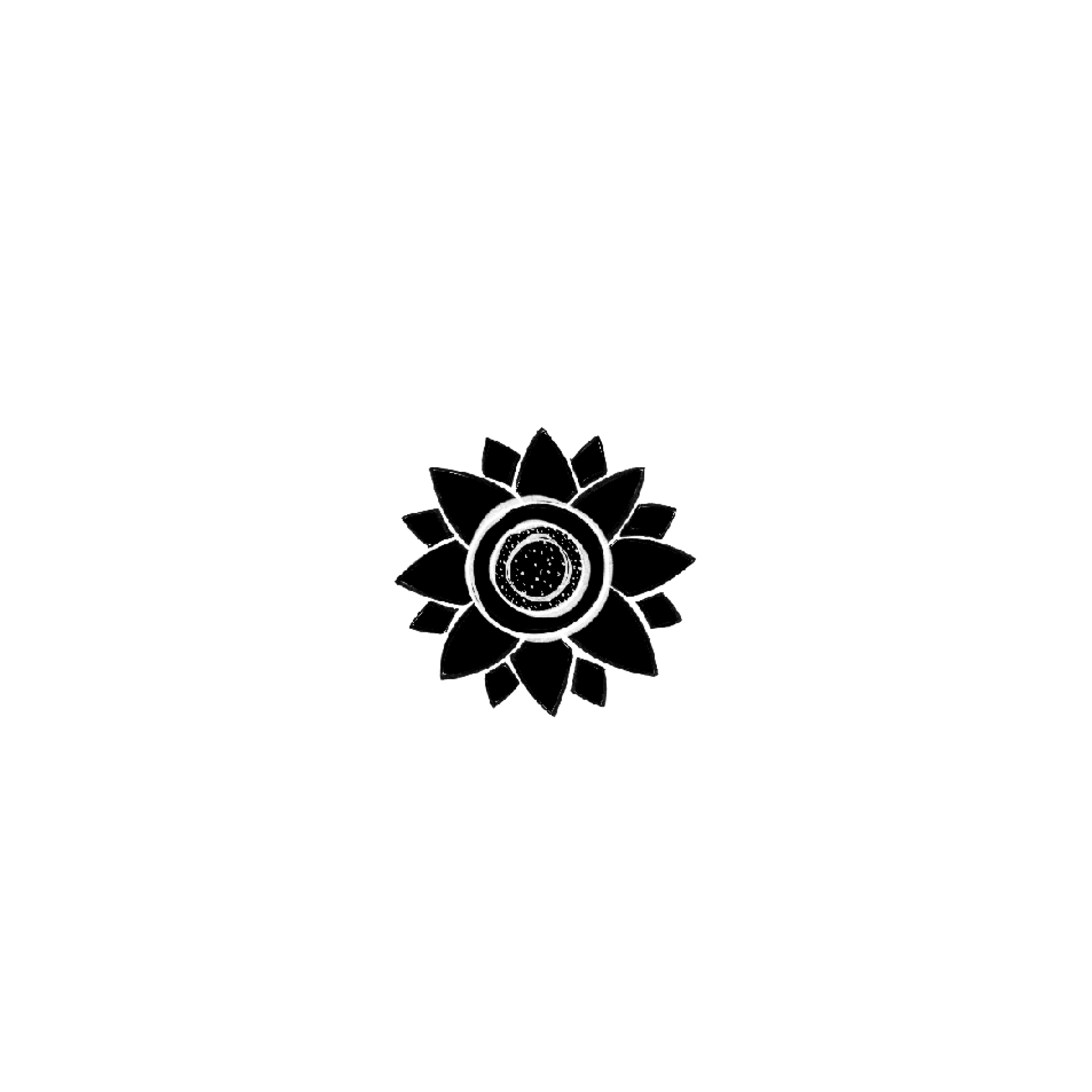 ZF_Images10